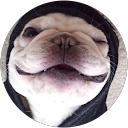 Qi Duan profile picture